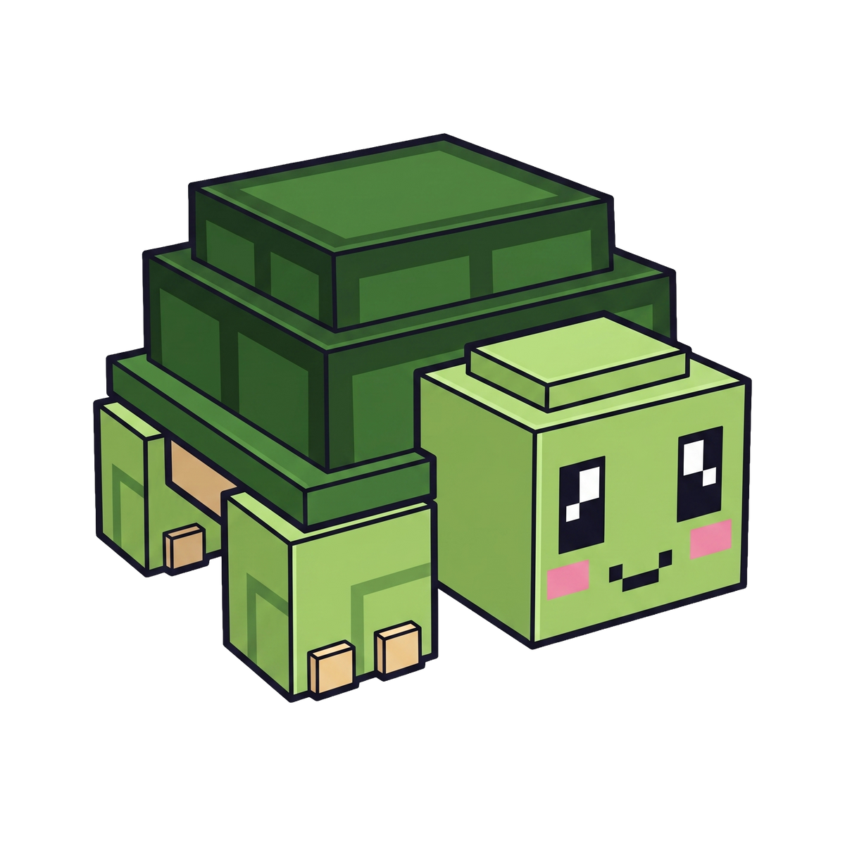 Turtle