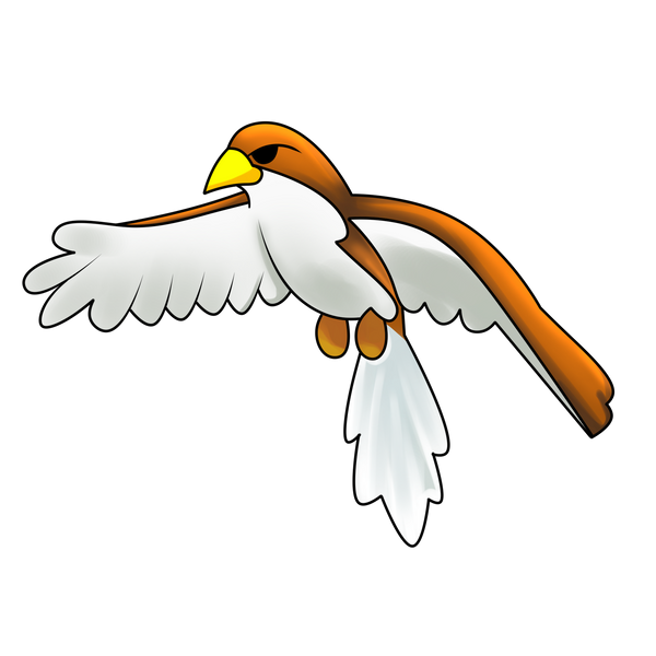 Hawk