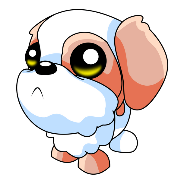 Shih Tzu